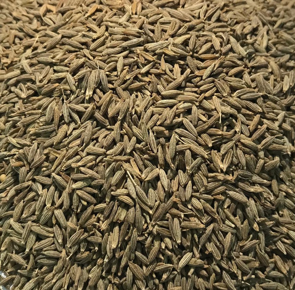 Cumin Seed जीरा